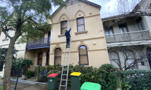 External Cleaning Randwick